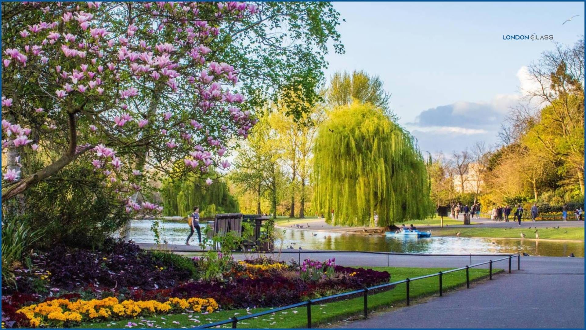Spring flowers in bloom in a London park with a pond and walking path