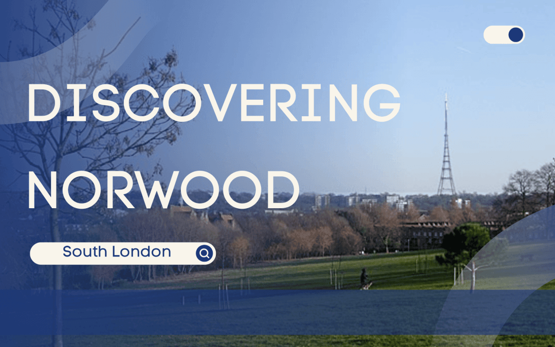 “Discovering Norwood: A Comprehensive Neighborhood Guide”
