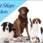 Top Pet Shops in London: Your Ultimate Guide to Spoiling Your Furry Friends