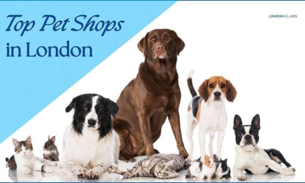 Top Pet Shops in London: Your Ultimate Guide to Spoiling Your Furry Friends