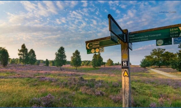 Sandy Heath, Camden – The Local Guide You Need!