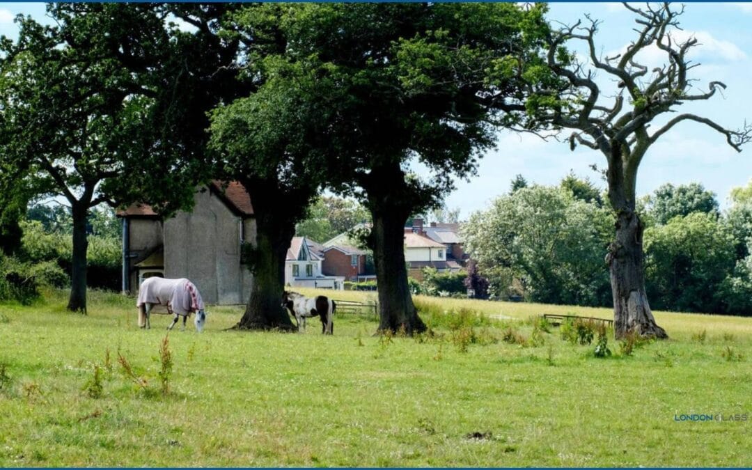 The Complete Guide to Edgwarebury: History, Culture, Attractions & Lifestyle in 2024