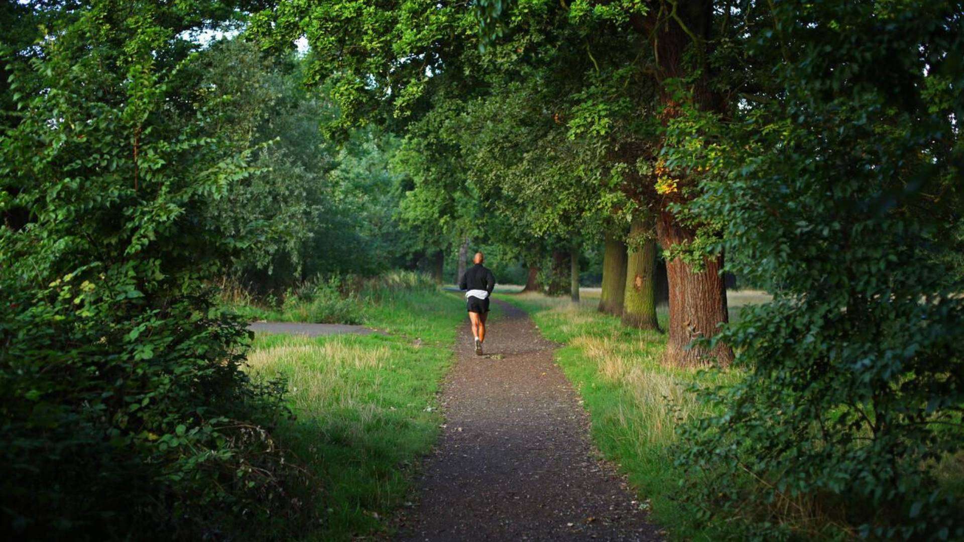 Jogger on a tranquil forest trail in Tooting Bec Common, surrounded by greenery.