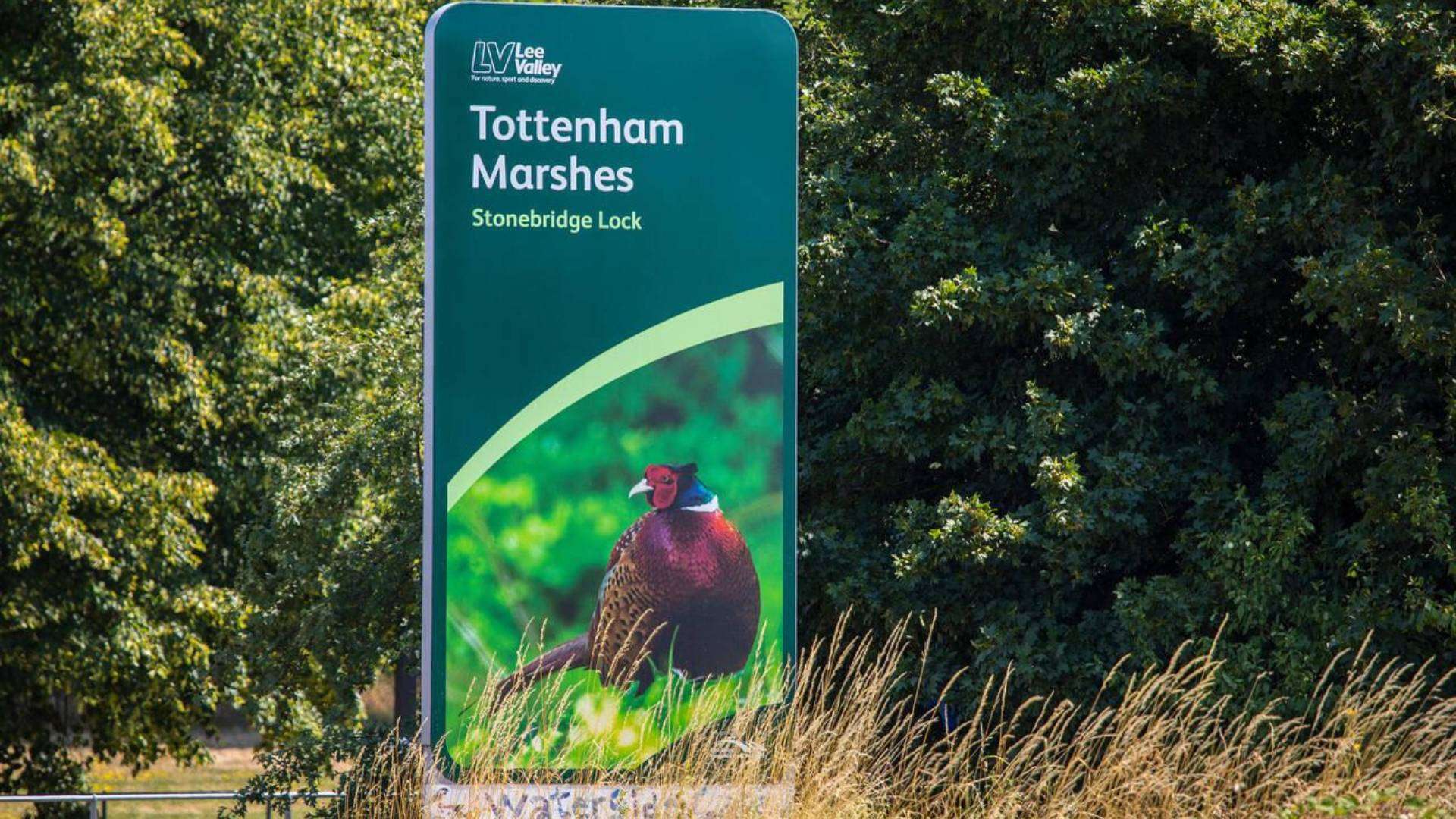 Signboard at Tottenham Marshes with a vibrant bird illustration and greenery in the background.