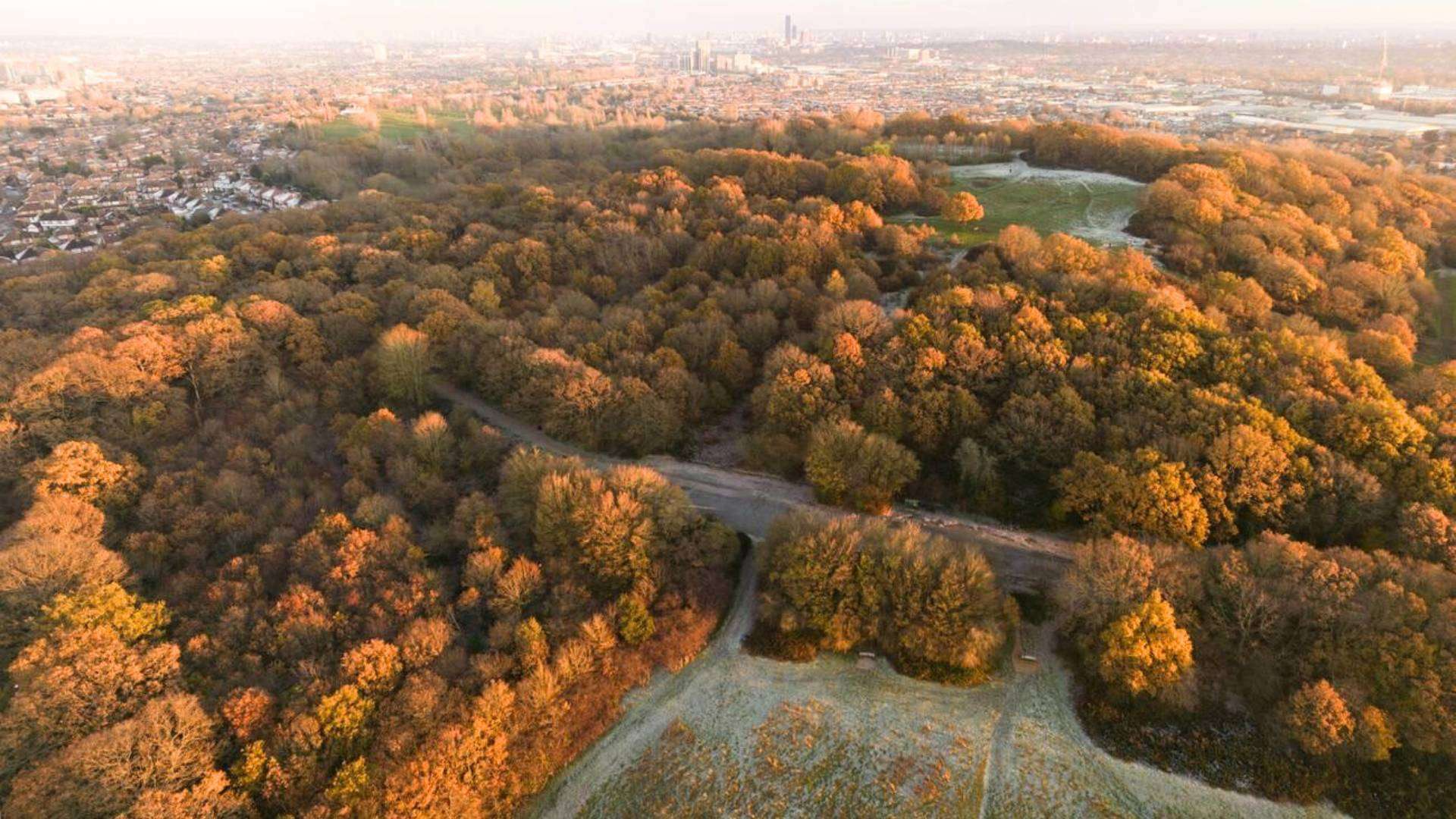 Aerial view of Horsenden Hill with autumn foliage near Sudbury London.